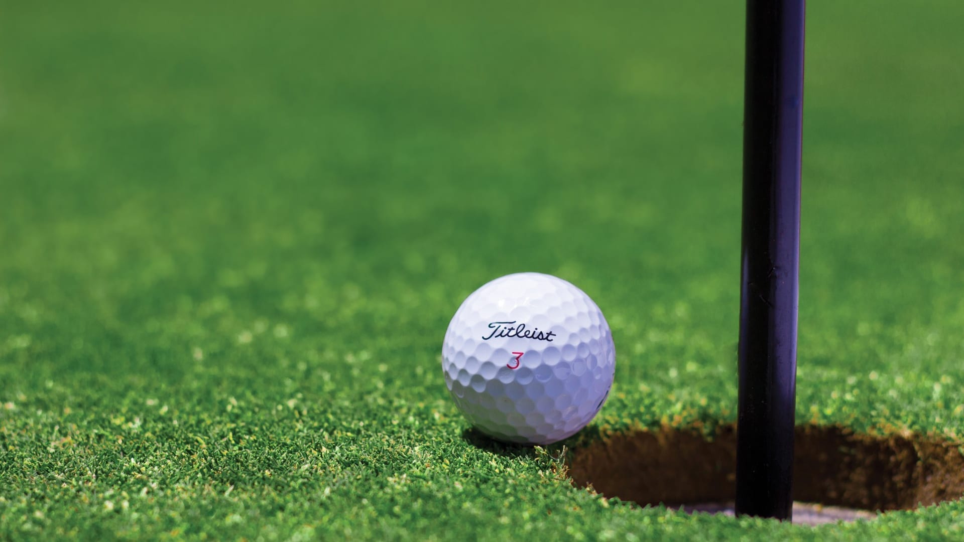 7 Of The Best Display Products For Your Golf Tournament
